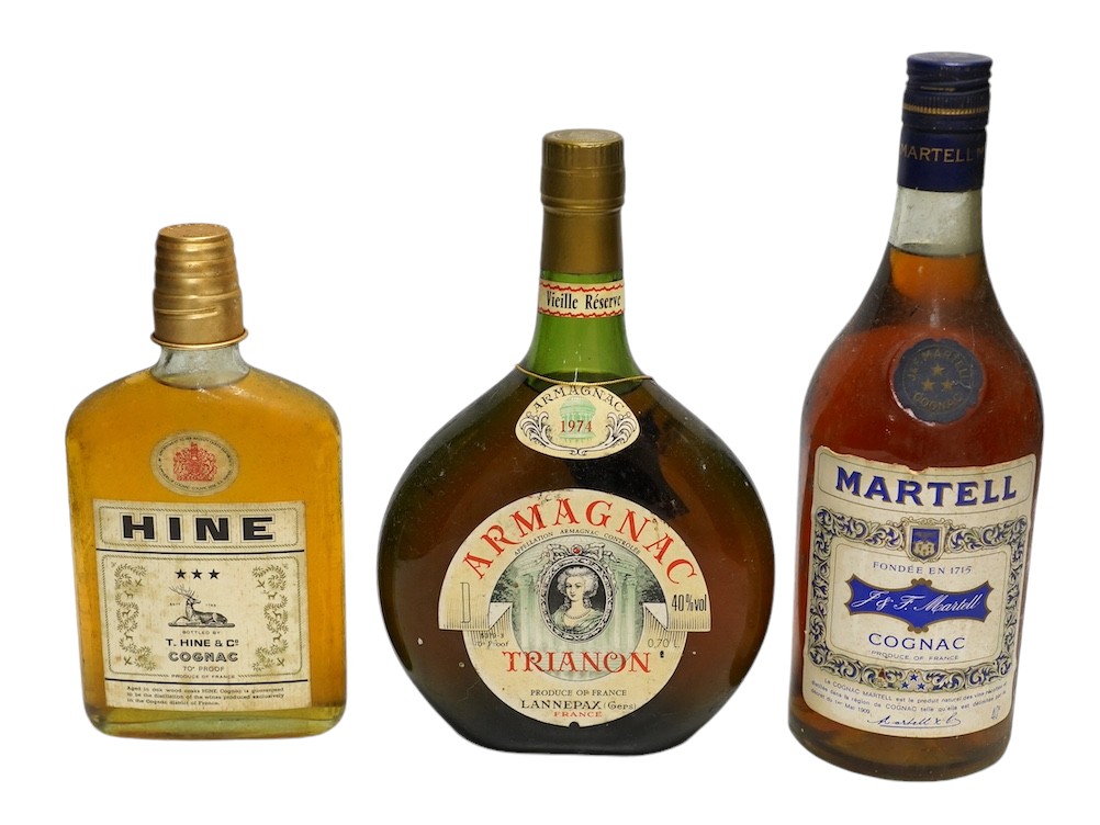 Twelve various bottles of alcohol including a bottle of Trianon 1974 Armagnac, a bottle of Martell three star cognac etc. Condition - storage unknown